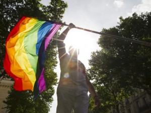 A participant attends the first Gay Pride march (Marche des Fiertes) since a French law permitting gay and lesbian marriage was passed in Paris