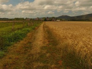 investir-zone-rurale-default-31400-0