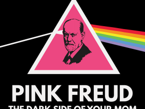 pinbk freud