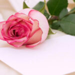 Manuel de survie #4 : La lettre d’amour